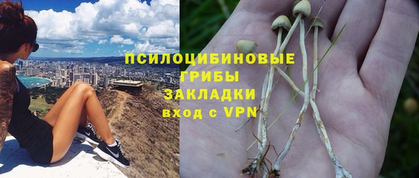 apvp Белокуриха