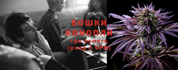 apvp Белокуриха